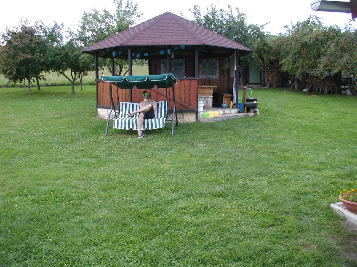 Penzion Drevenik Hotel สปิซเค ปอดราดิเย ภายนอก รูปภาพ